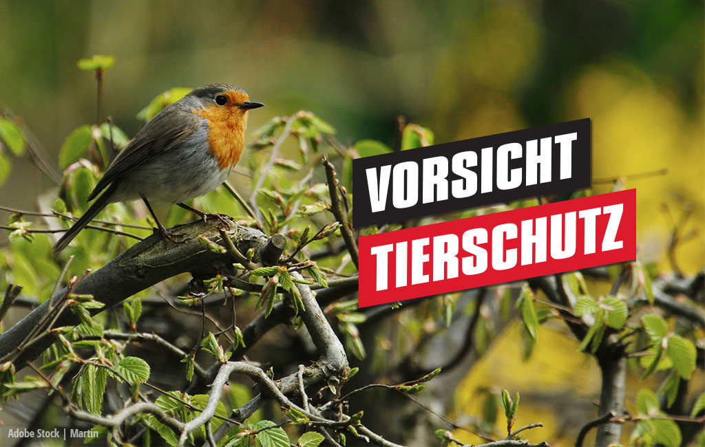 ein Vogel sitzt auf einem Ast, Schrift: Vorsicht - Tierschutz