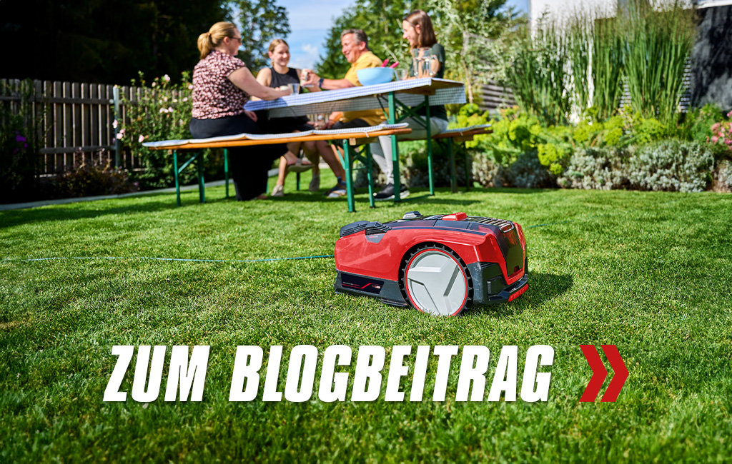 A robotic lawn mower mowing the lawn. 