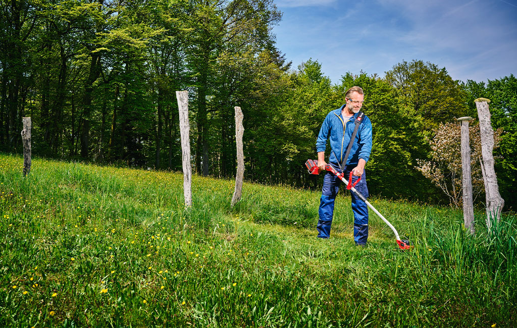 A man is trimming a meadow with a red Einhell grass trimmer, surrounded by tall trees and scattered wooden stakes.