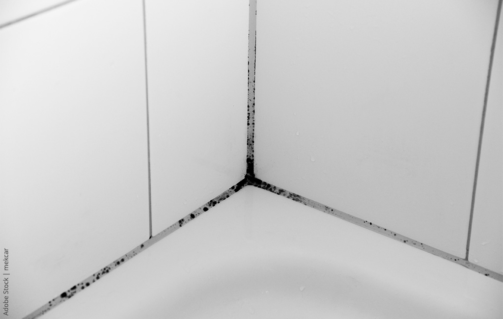 Mould-infested silicone sealant in a shower.