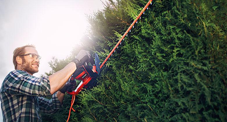 man working with electric hedge trimmer